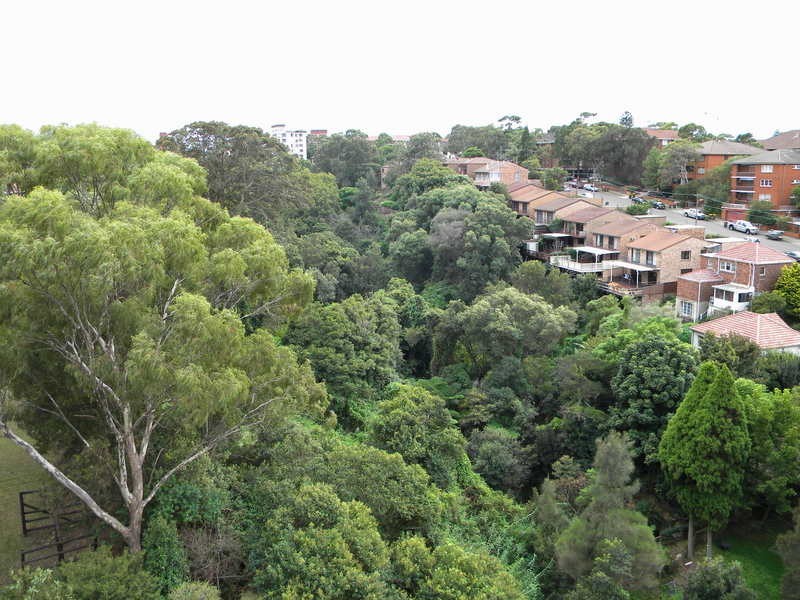 U/260 Alison Road, Randwick NSW 2031