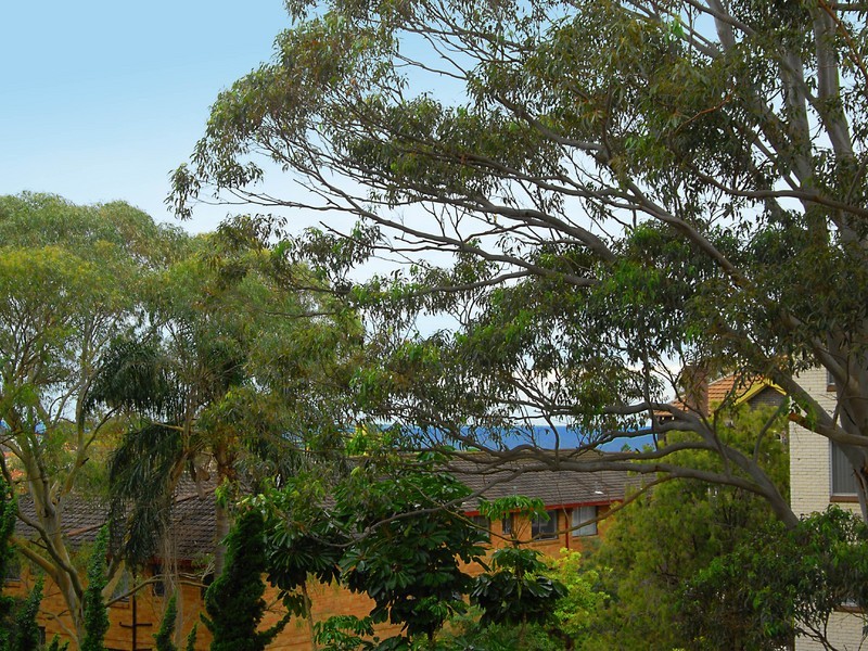 7/31 Byron Street, Coogee NSW 2034