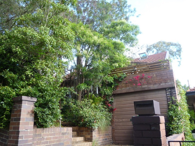 U/3 Norton Street, Kingsford NSW 2032