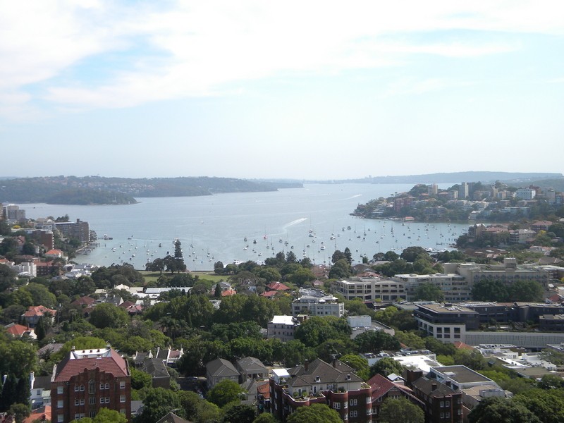 U/442 Edgecliff Road, Edgecliff NSW 2027