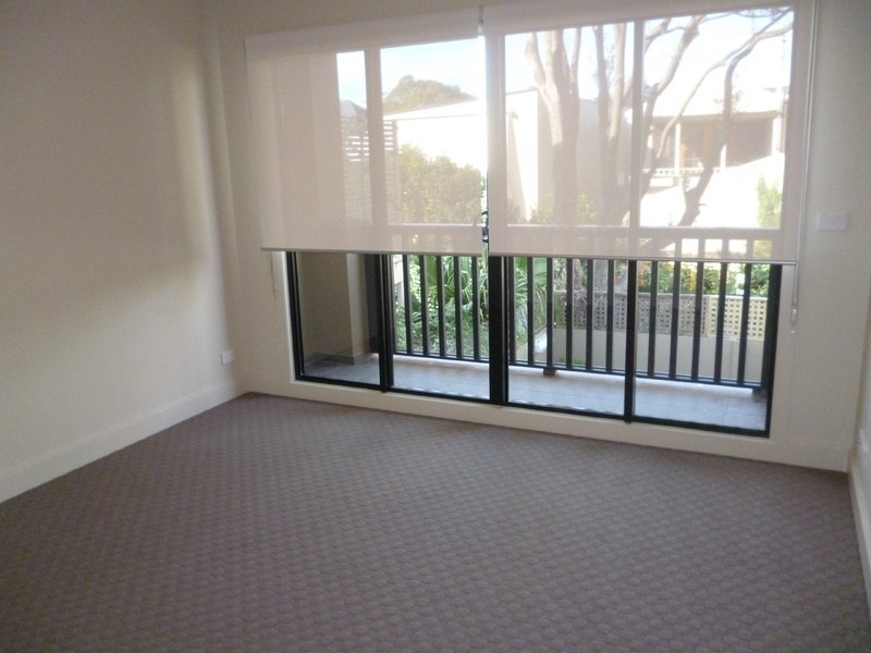 16 Wiley Street, Waverley NSW 2024