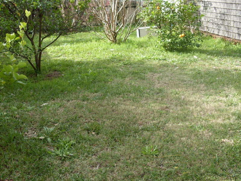 5  Knox  Av, St Marys NSW 2760