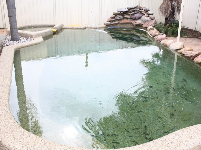 6  Geewan Pl, Claremont Meadows NSW 2747