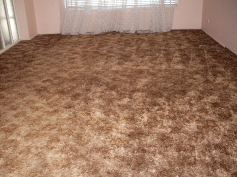 34  Macarthur Drive, St Clair NSW 2759