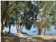 Nerong NSW 2423