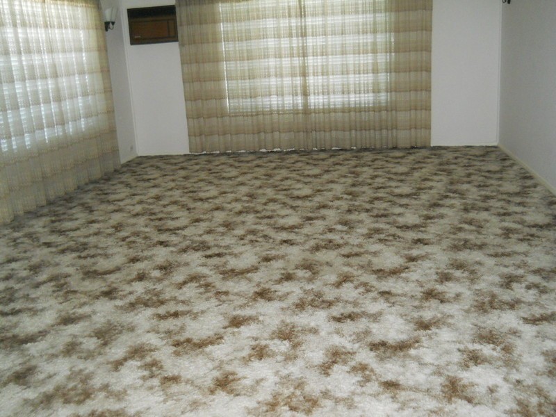 62 Brisbane Street, Oxley Park NSW 2760