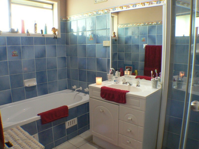 126 Carpenter St, Colyton NSW 2760