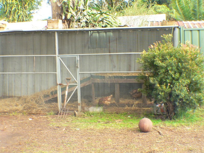 17 Frank St, Mount Druitt NSW 2770