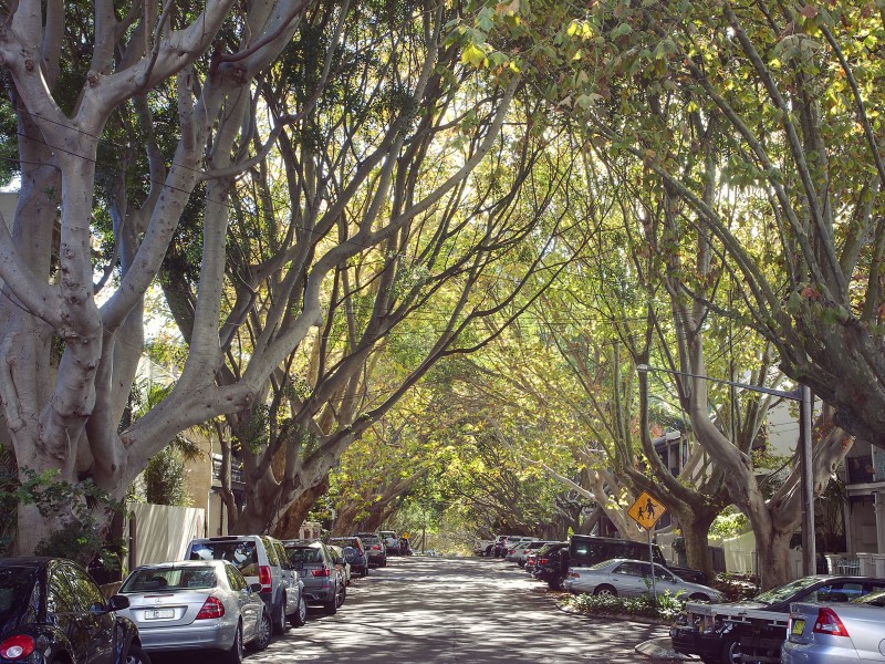 169  Paddington Street, Paddington NSW 2021