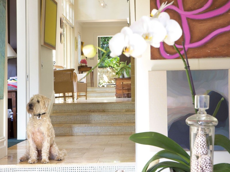 47 Suttie Road, Bellevue Hill NSW 2023