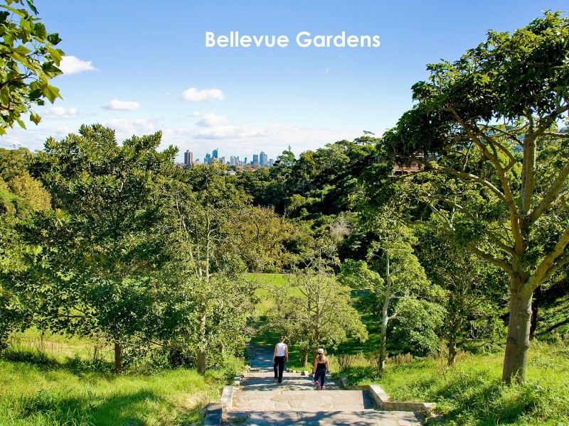 47 Suttie Road, Bellevue Hill NSW 2023