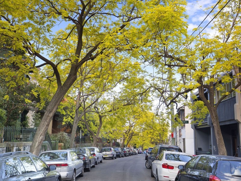 118 Womerah Avenue, Darlinghurst NSW 2010