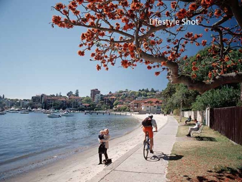 3/41 William Street, Double Bay NSW 2028