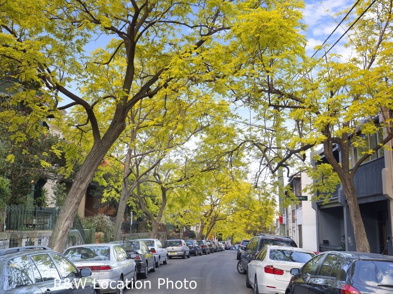 1/29 Womerah Avenue, Darlinghurst NSW 2010