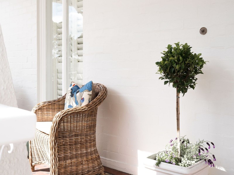 15 Monmouth Street, Randwick NSW 2031