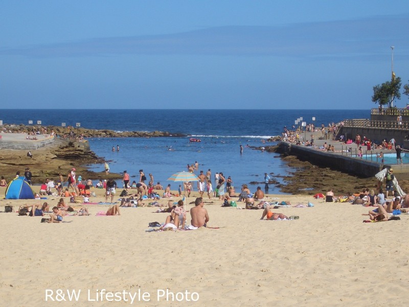 15 Monmouth Street, Randwick NSW 2031