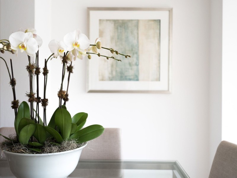 2/15 Wallaroy Road, Woollahra NSW 2025