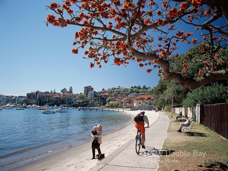 7/43 Ocean Avenue, Double Bay NSW 2028