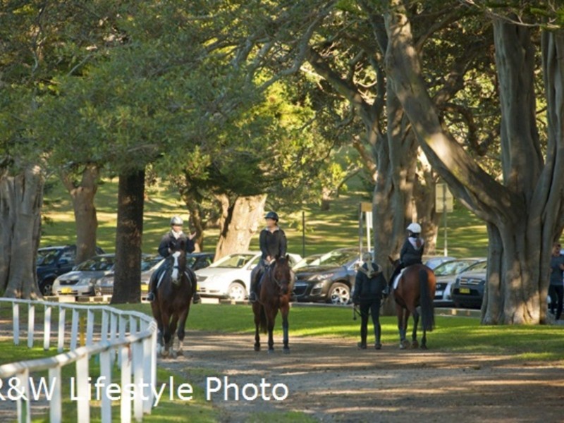 5 Grosvenor Street, Kensington NSW 2033