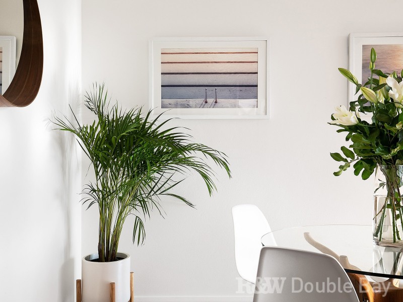 3/175 Bellevue Road, Bellevue Hill NSW 2023