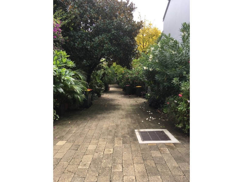 7 Little Napier Street, Paddington NSW 2021