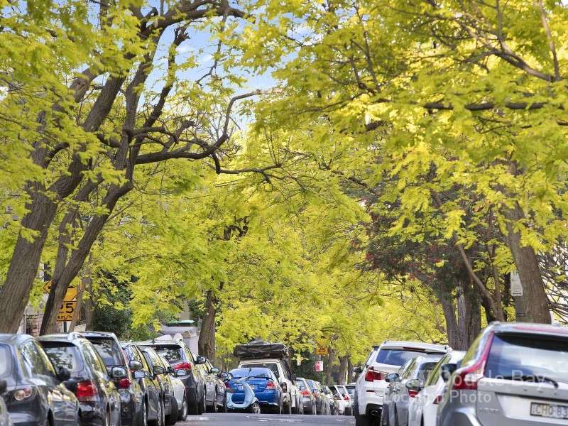 3/37-39 Francis Street, Darlinghurst NSW 2010