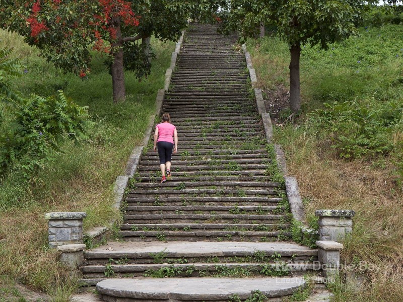 2/122 Old South Head Road, Bellevue Hill NSW 2023