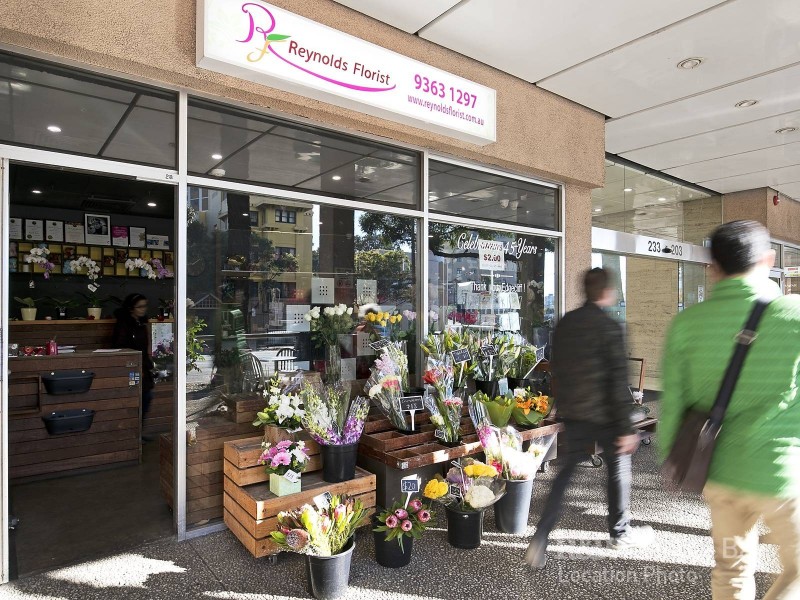 18 Ocean Avenue, Double Bay NSW 2028