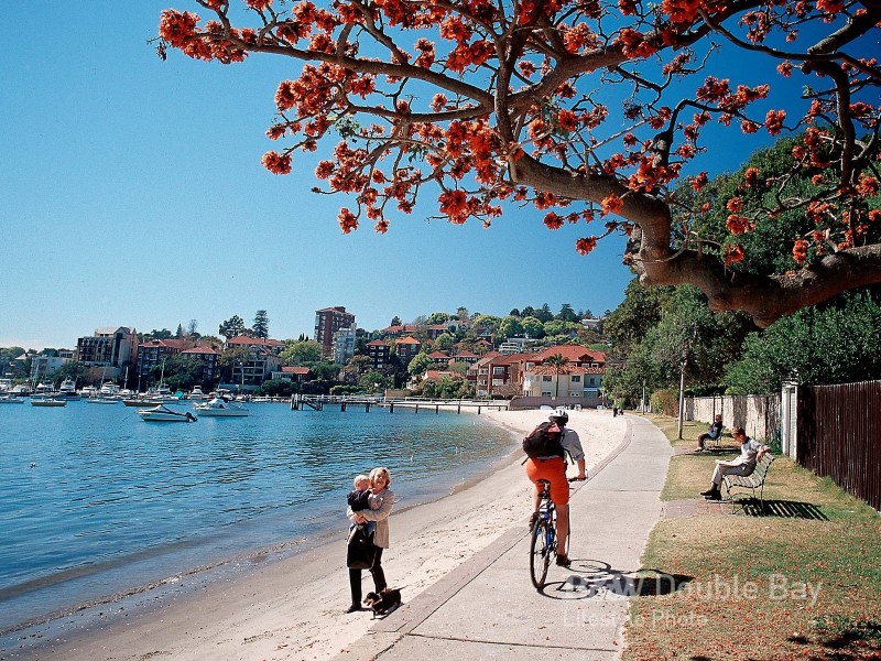 8 South Avenue, Double Bay NSW 2028