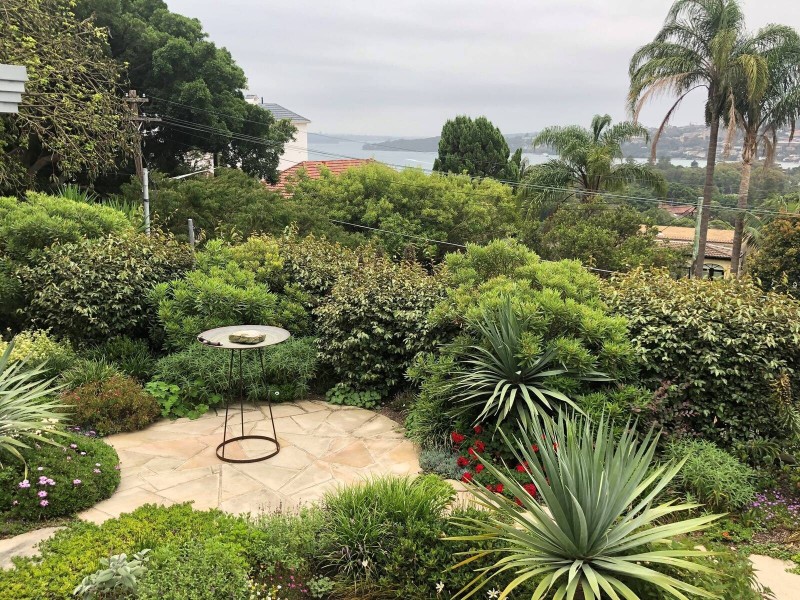 37 Drumalbyn Road, Bellevue Hill NSW 2023