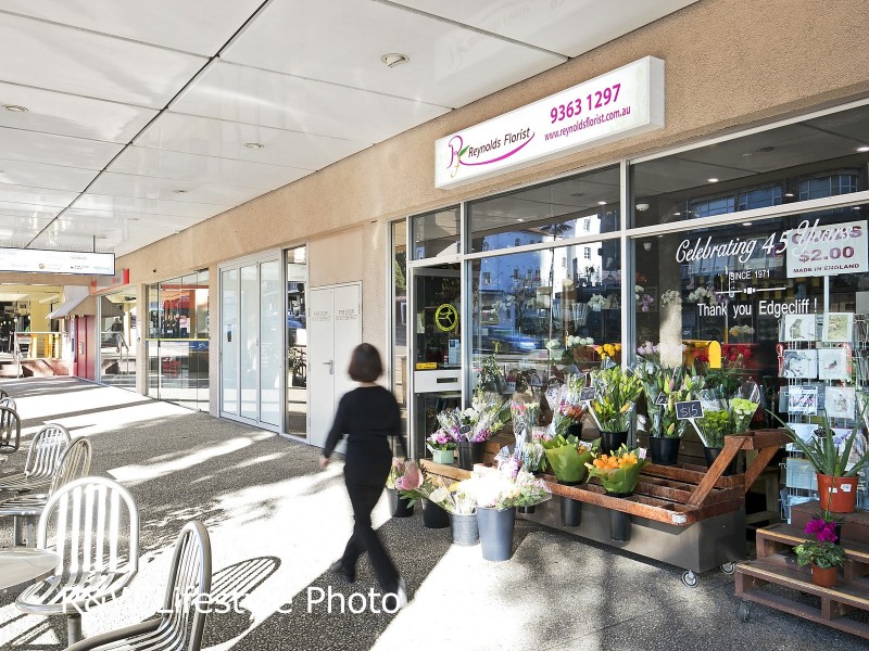 56 Thorne Street, Edgecliff NSW 2027