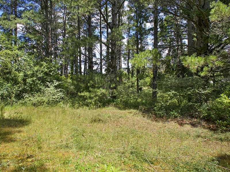 24 Nelson Avenue, Wentworth Falls NSW 2782