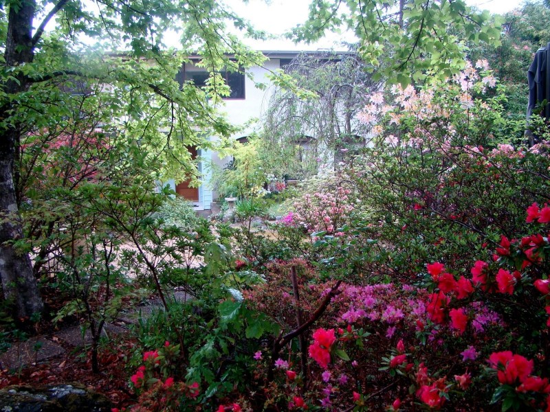 27 Cliff View Road, Leura NSW 2780