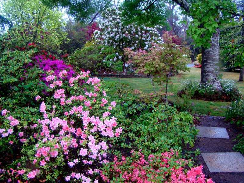 27 Cliff View Road, Leura NSW 2780