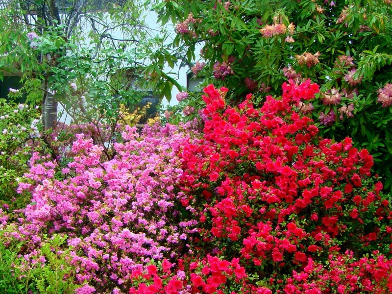 27 Cliff View Road, Leura NSW 2780