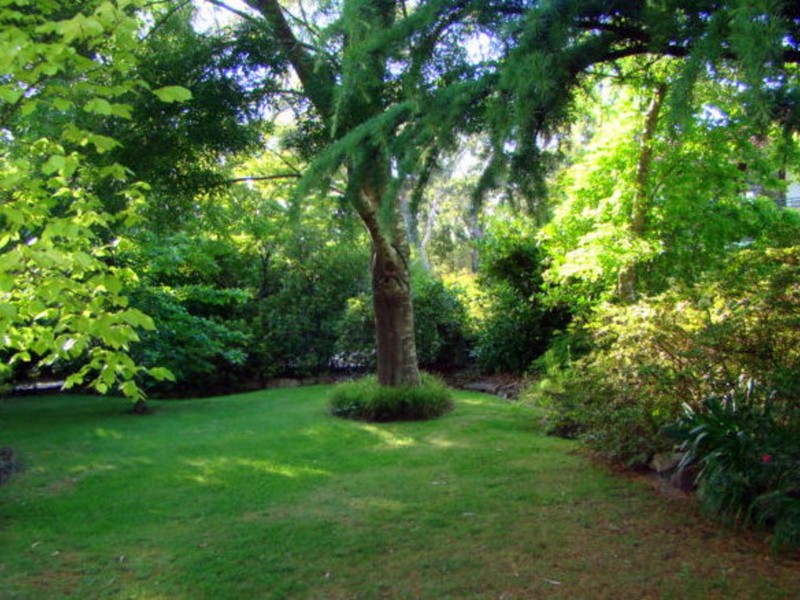 27 Cliff View Road, Leura NSW 2780