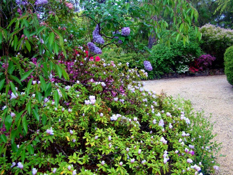 27 Cliff View Road, Leura NSW 2780