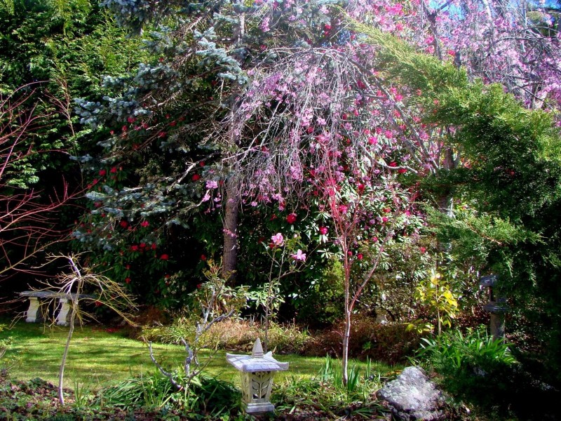 27 Cliff View Road, Leura NSW 2780