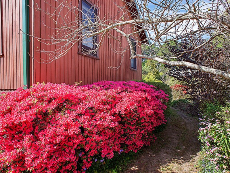 3 Bellevue Road, Wentworth Falls NSW 2782