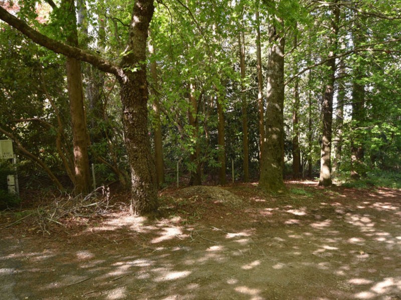 Wentworth Falls NSW 2782