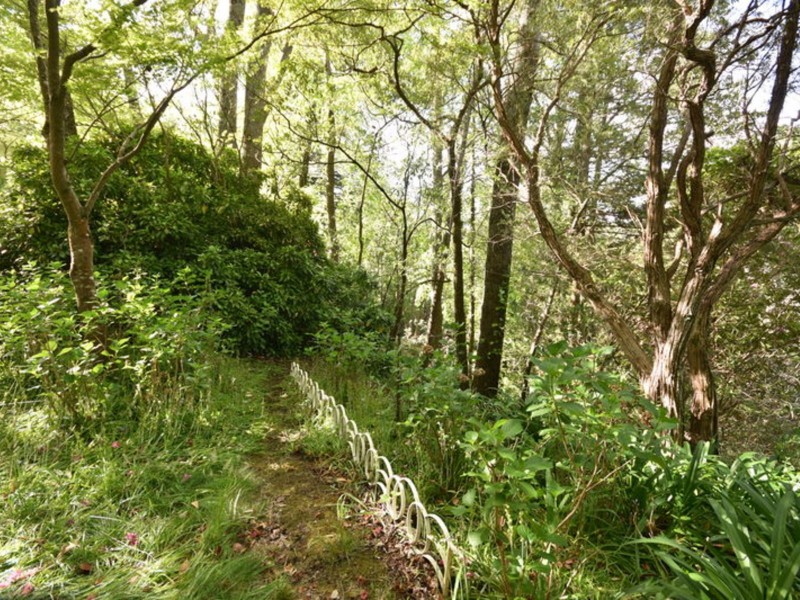 Wentworth Falls NSW 2782