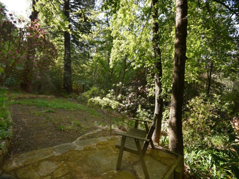 Wentworth Falls NSW 2782