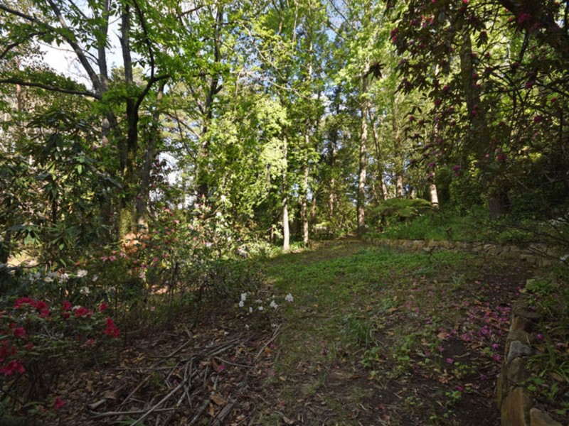 Wentworth Falls NSW 2782