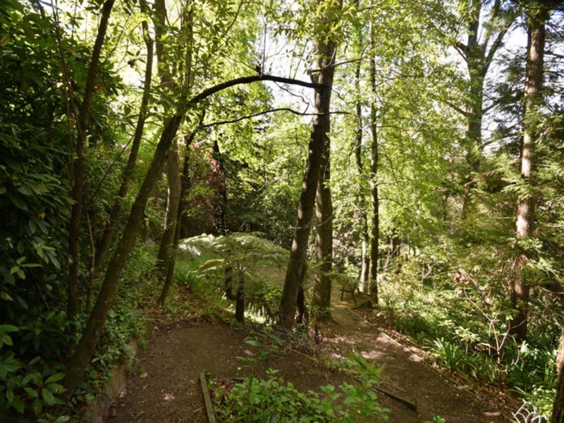 Wentworth Falls NSW 2782