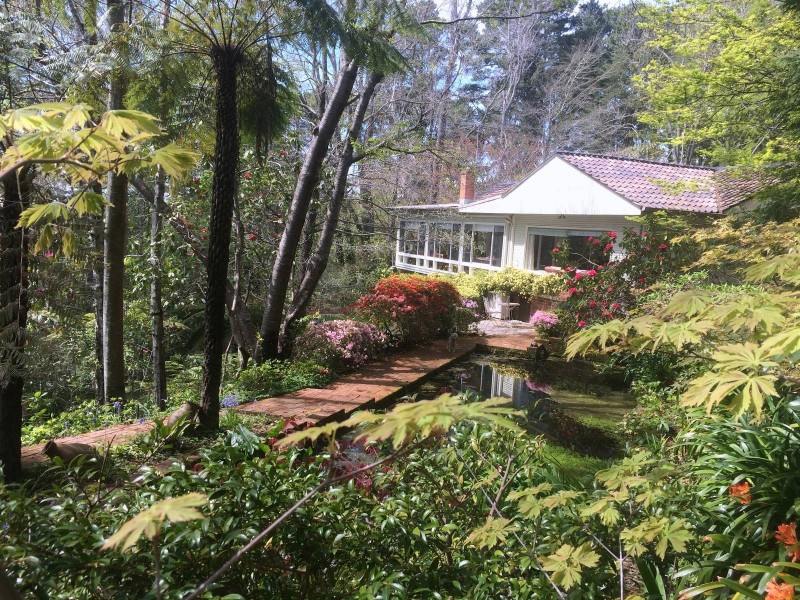 16 Myoori Avenue, Wentworth Falls NSW 2782