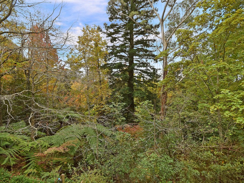 16 Myoori Avenue, Wentworth Falls NSW 2782