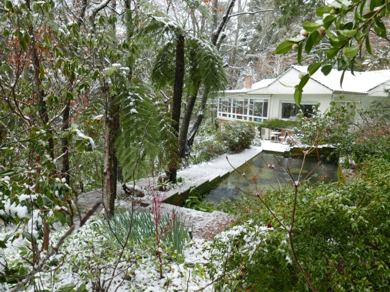 16 Myoori Avenue, Wentworth Falls NSW 2782