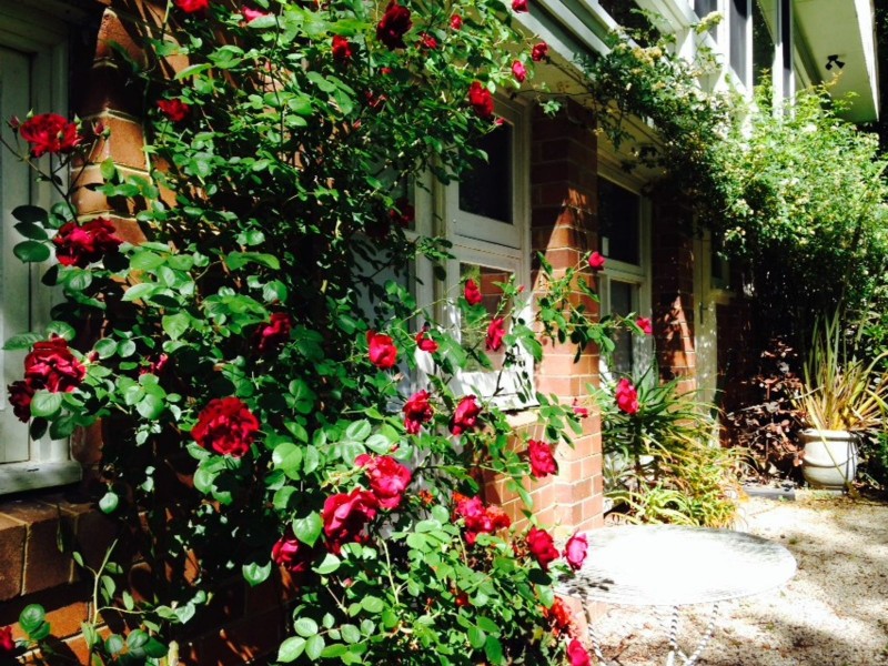 16 Myoori Avenue, Wentworth Falls NSW 2782