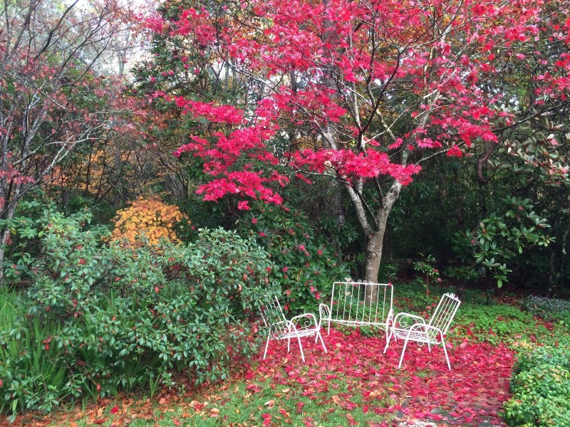 16 Myoori Avenue, Wentworth Falls NSW 2782