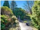 Wentworth Falls NSW 2782